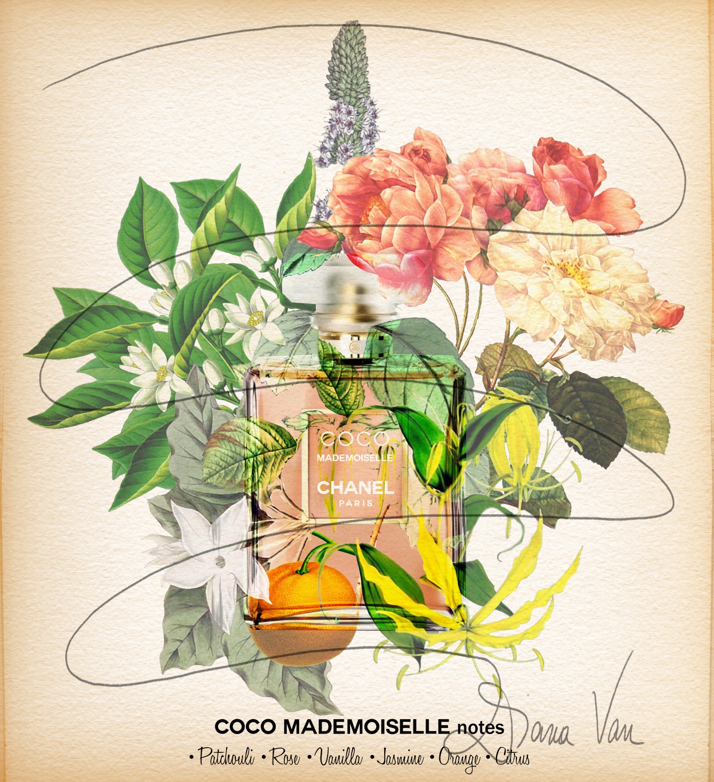 Chanel Coco Mademoiselle Perfume Notes – Diana Van portfolio